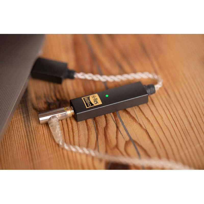 iFi Go Link