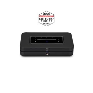 Bluesound Node N132 (2024)